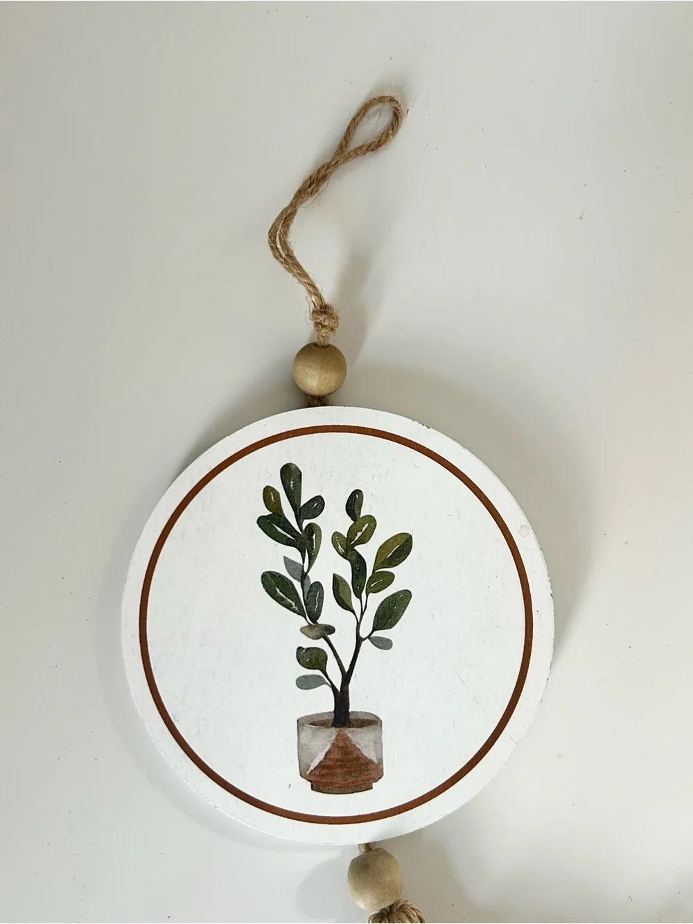 Boho Plant Wall Decor Wall Hanging